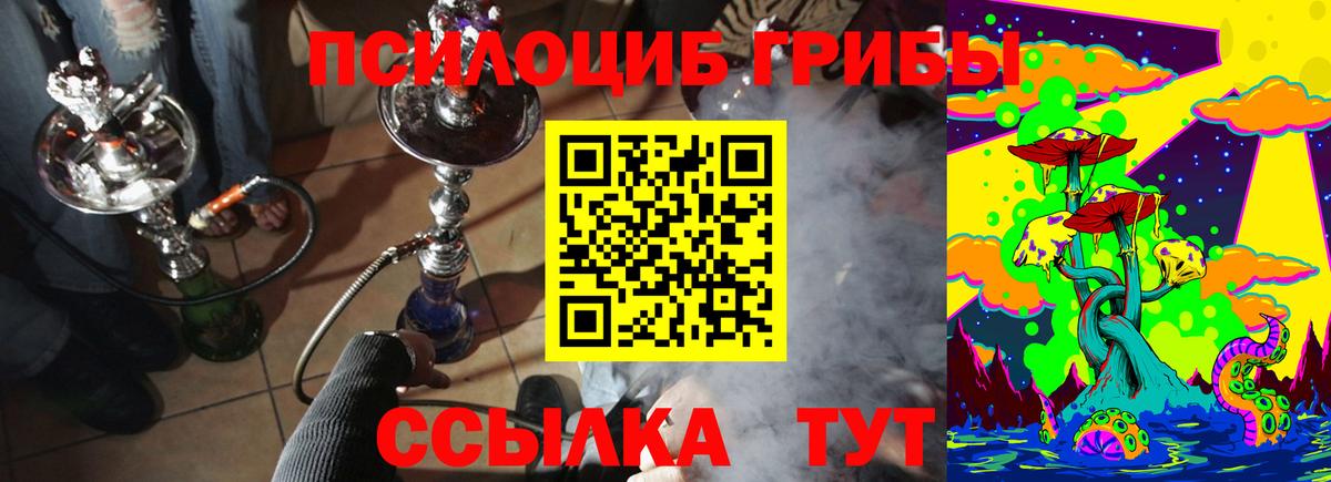 Псилоцибиновые грибы Psilocybine cubensis Елабуга
