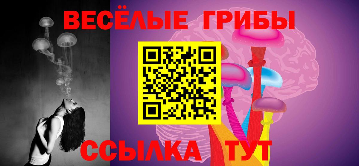 Елабуга  Псилоцибиновые грибы Psilocybine cubensis  Галлюциногенные грибы GOLDEN TEACHER  Вход с VPN 